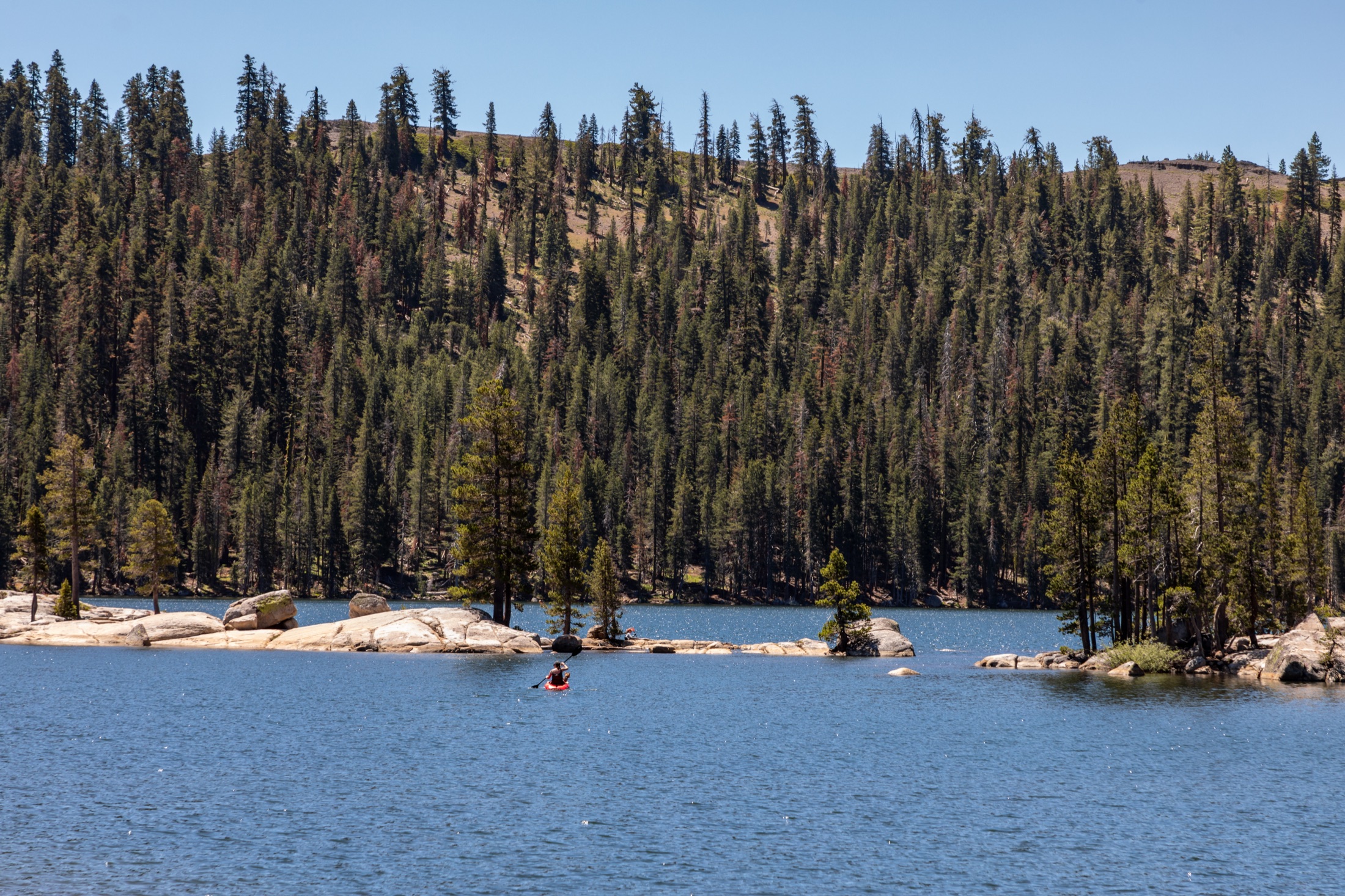 A canoe crossing Lake Alpine below a forested Sierra ridge